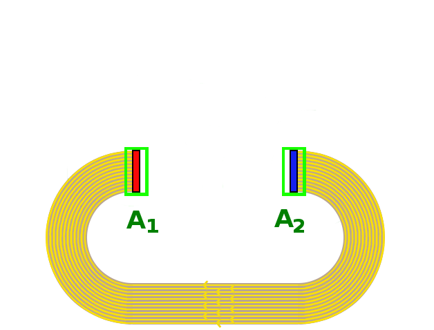 Datei:Elektret Ring Polarisierungslinien Polarisierungsladungen Gauß.png