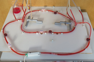 Wasserstromkreis verzweigt.jpg