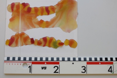 Mikrowelle Gummibärchen 1.jpg