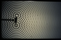 Wellenwanne Zwei Quellen Abstand klein f40Hz.jpg