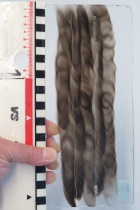 Stimmgabel Ruß Beobachtung mit Maßstab.jpg