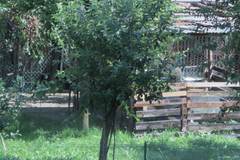 Datei:Licht Interferenz Vorhang ohne Ausschnitt.jpg