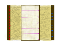 Kondensator Übersicht mit Materie Polarisation.png