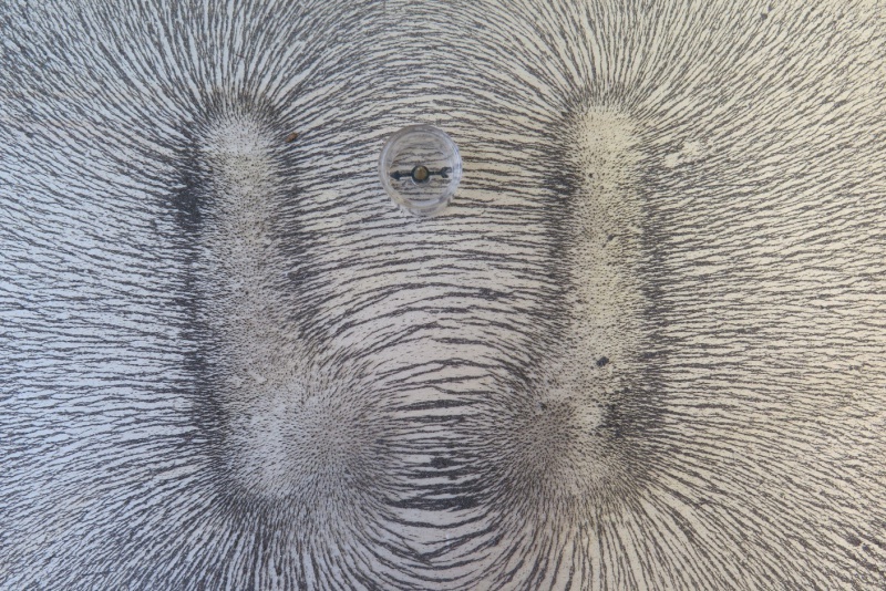 Datei:Magnetfeld Eisenspäne Stabmagnet mit zwei Weicheisen Kompass.jpg