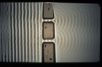 Wellenwanne Doppelspalt f20Hz.jpg