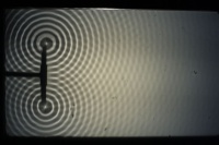 Wellenwanne Zwei Quellen Abstand Groß f40Hz.jpg