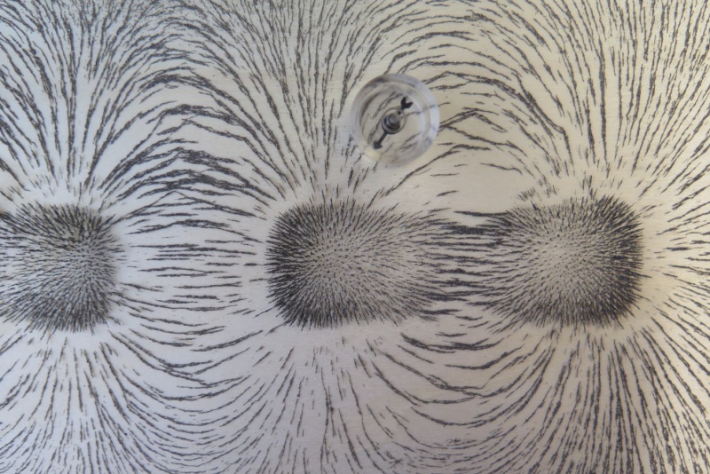 Datei:Magnetfeld Eisenspäne ungleiche Pole Kompass 2.jpg