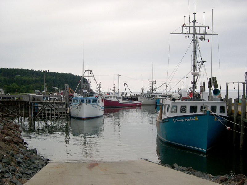 Datei:Gravitation Ebbe Flut Vergleich im Hafen Flut.jpg