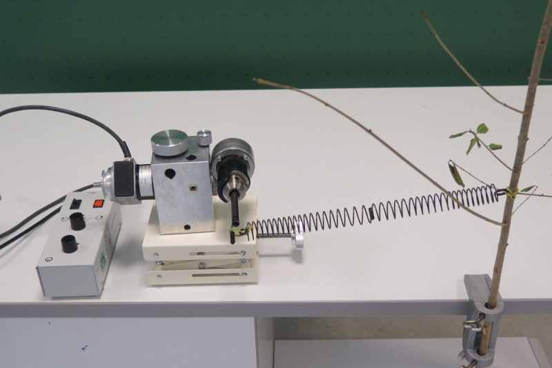 Datei:Schwingung erzwungen Baum Ast wackeln Motor.jpg