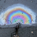 Diesel in Pfütze.jpg