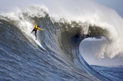 Wasserwelle Surfer.jpg