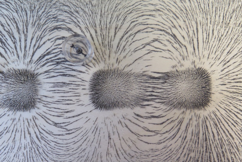 Datei:Magnetfeld Eisenspäne ungleiche Pole Kompass 3.jpg